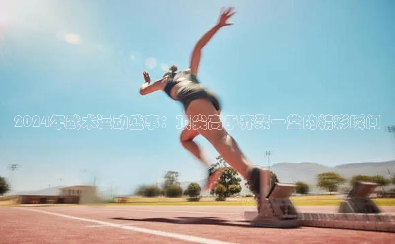 2024年武术运动盛事：顶尖高手齐聚一堂的精彩瞬间