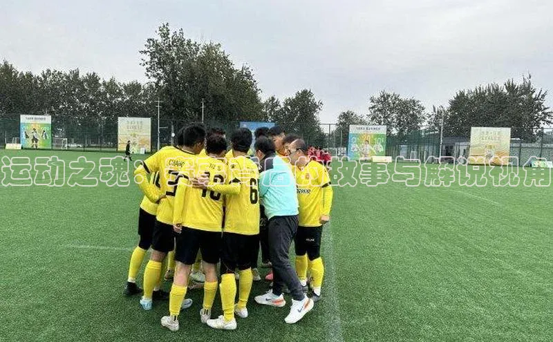 运动之魂：赛事背后的故事与解说视角