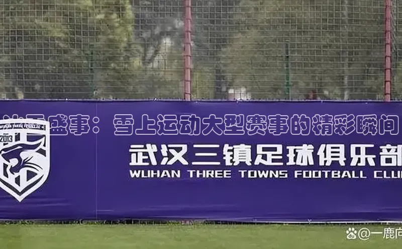 冰雪盛事：雪上运动大型赛事的精彩瞬间