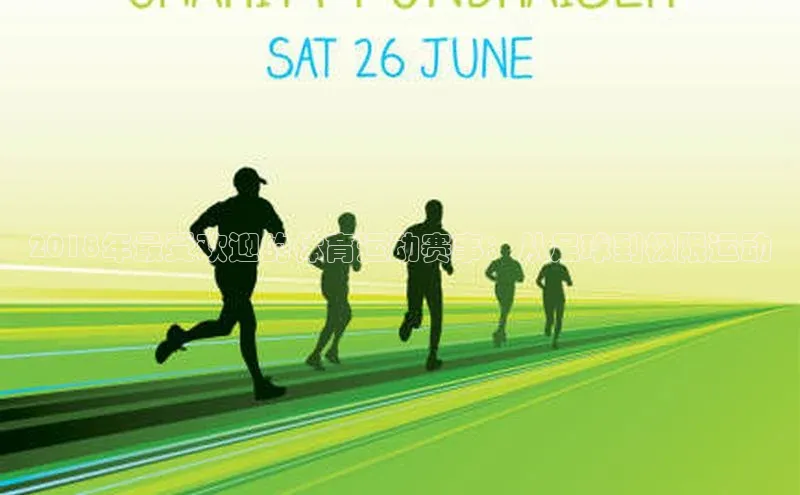 2018年最受欢迎的体育运动赛事：从足球到极限运动