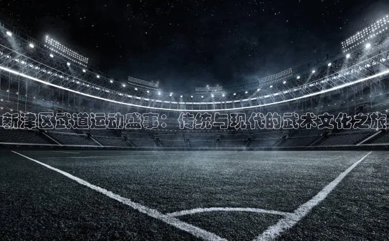 新津区武道运动盛事：传统与现代的武术文化之旅