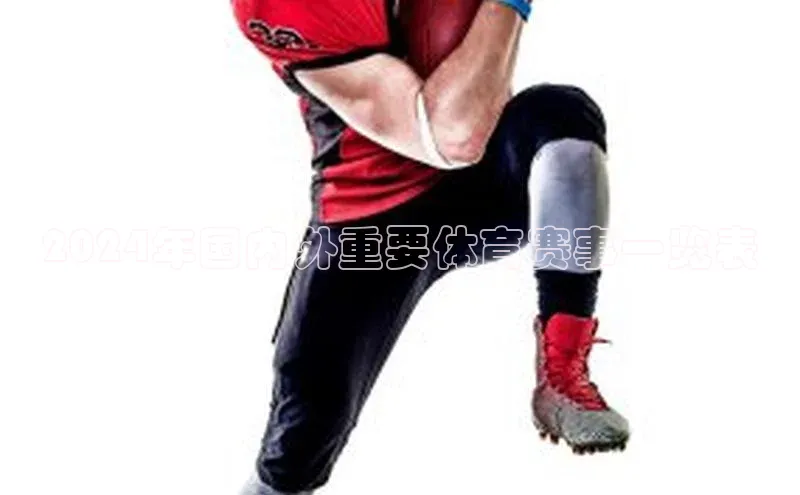 2024年国内外重要体育赛事一览表