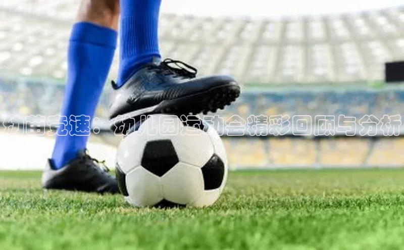 幼苗竞速：幼儿园运动会精彩回顾与分析