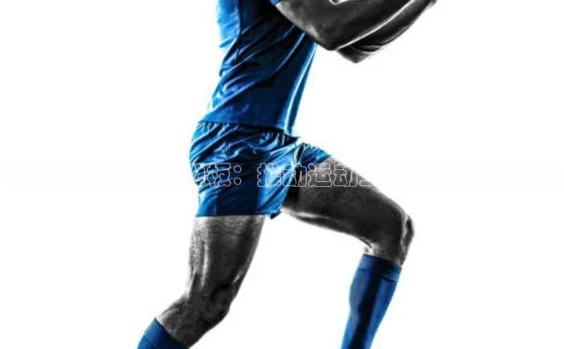 苏州赛事运动木地板：推动运动生活品质的新选择