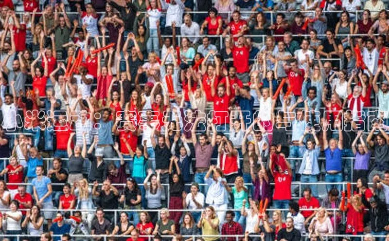 小米运动：赛事无法打开的与使用指南