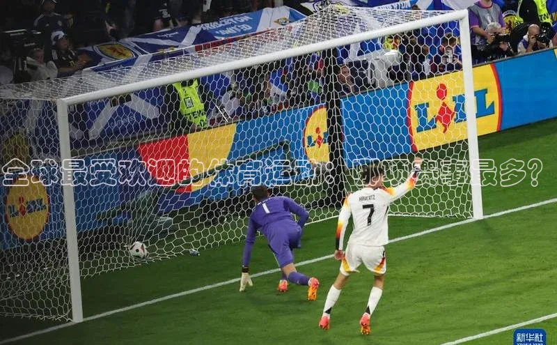 全球最受欢迎的体育运动：哪项赛事最多？