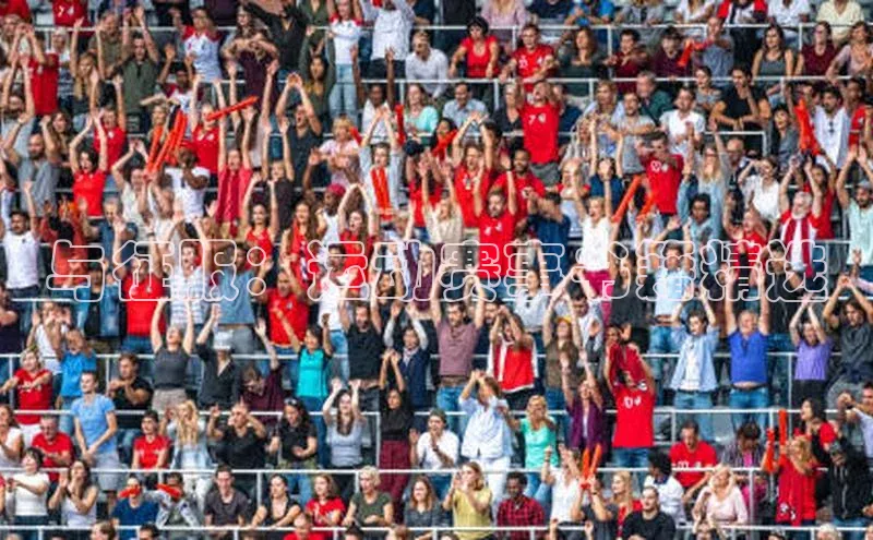 与征服：运动赛事书籍精选