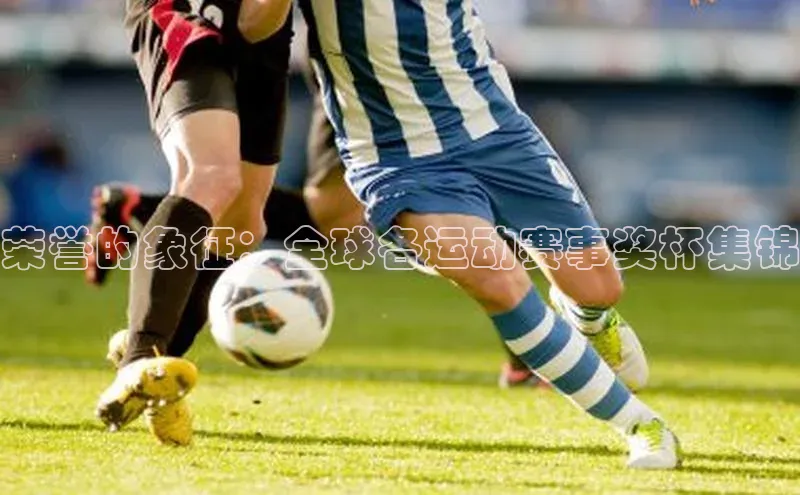 谈球吧体育平台