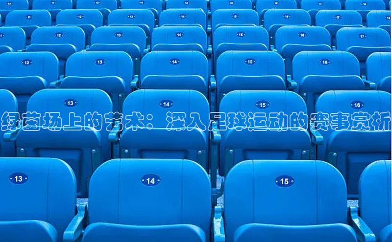 绿茵场上的艺术：深入足球运动的赛事赏析
