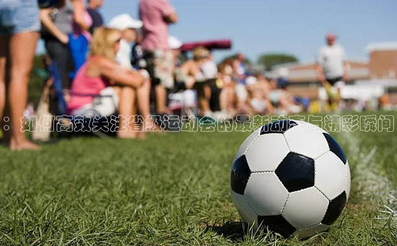 ：如何高效关注省级运动会的最新动态与精彩瞬间