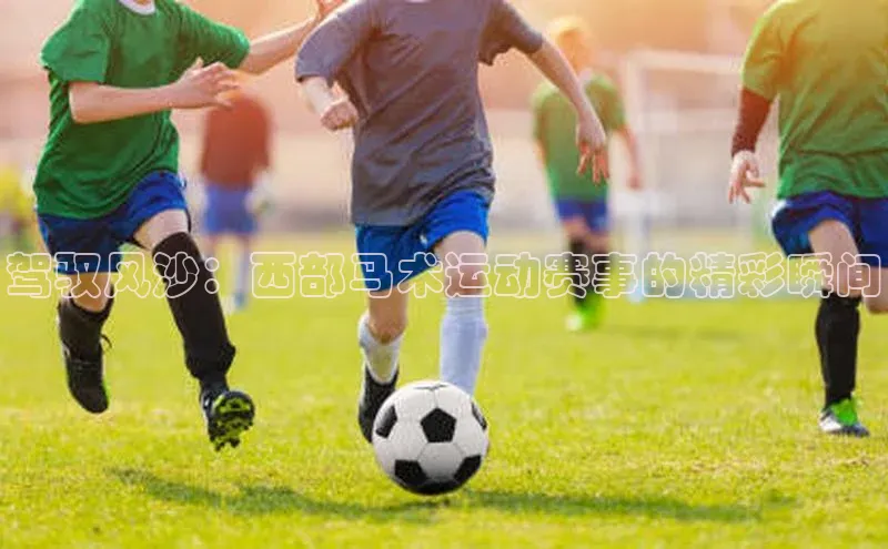 驾驭风沙：西部马术运动赛事的精彩瞬间